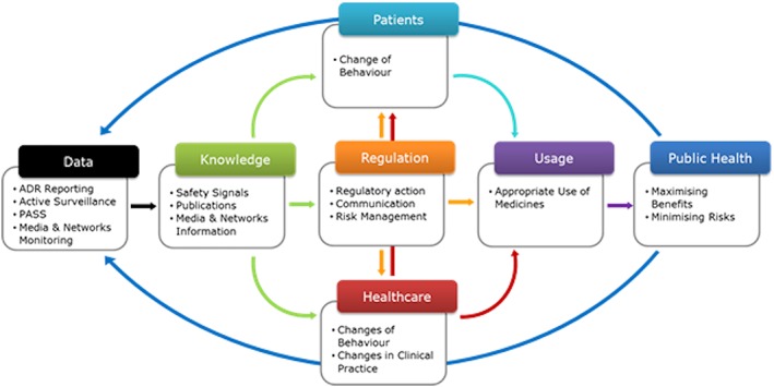 Pharmacovigilance: Safeguarding Patient Safety Beyond the Pill